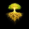 Rooted Clarity